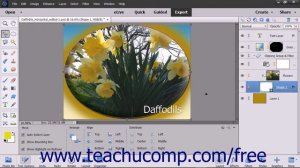 Photoshop Elements 15 Tutorial Layer Styles Adobe Training