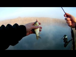 Первые мои караси на спининг в феврале, Black Adder в деле!!!.mp4