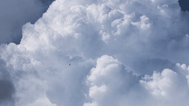 Евангелие дня. Чтимые святые дня. Прпп. Се́ргия и Ге́рмана, Валаамских чудотворцев (11 июля 2020 г. смотреть онлайн