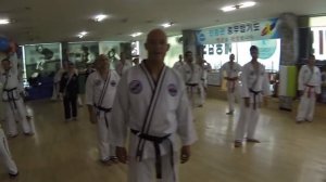 Europe Hapkido Team in Korea 2016 - DAY 1