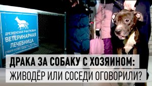 Драка за собаку: живодёр ли хозяин, или его оговорили соседи?