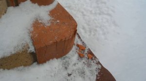 Витебский керамический полнотелый кирпич цех №1.Это не реклама.