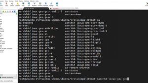 Docker Linux multi arch | Qemu user executing cross compiled ARM32 ARM64