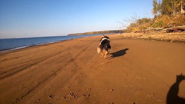 Эрна, 26.09.2016 г. смотреть онлайн