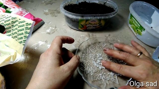 Посадка лобелии