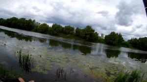 Ловля КАРАСЯ на поплавок. Перловка, червяк. (LiveFishing)