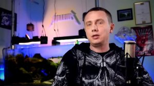 Режим подачи удобрений в аквариум