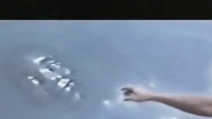 Запрещенные  и замалчиваемые знания. Неволина Н.А.