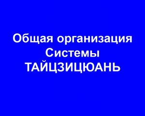 Общая организация Системы ТАЙЦЗИЦЮАНЬ
