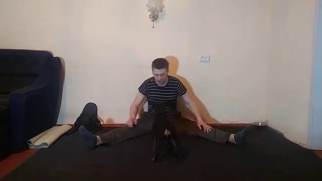 ЦВЕРГПИНЧЕР КОМАНДЫ СИДЕТЬ ЛЕЖАТЬ СТОЯТЬ| ДРЕССИРОВКА ЦВЕРГПИНЧЕРА| ПОРОДА ЦВЕРГПИНЧЕР|