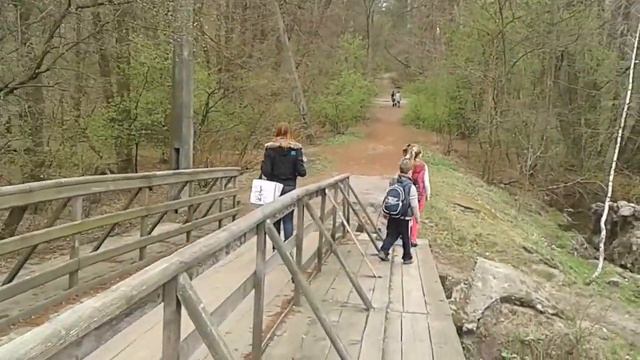 Моржи Клуб счастливых и успешных очередная вылазка на природу смотреть онлайн