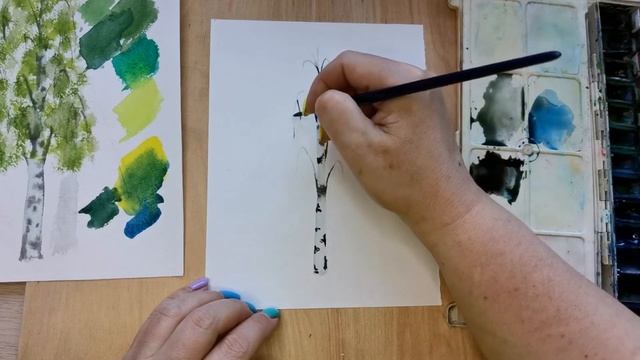 Как нарисовать березу акварелью. смотреть онлайн