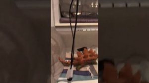 Отзыв на аудиофильский плеер Sony nw-zx 507 и наушники к нему sony mdr-z7m2. Первый опыт!
