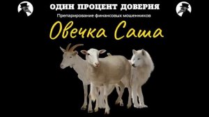 Овечка Саша.