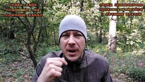 ★Как убрать КАМНИ НА ЗУБАХ в домашних условиях?  6 лучших народных рецептов.