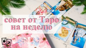 Совет от Таро на неделю