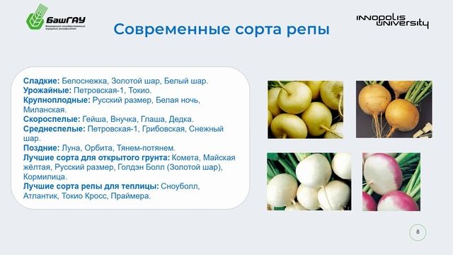 Селекция картофеля презентация