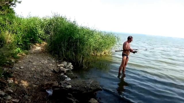 Таганрог-2016: Классная рыбалка на сазана  #Анатолий_Климович #Таганрог