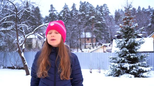 Пушкин. Зима. Крестьянин, торжествуя...