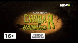 Моя любимая заставка This Is Music на BRIDGE ФРЭШ (17.12.2021)