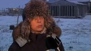 Остров Колгуев. Оленеводство за краем