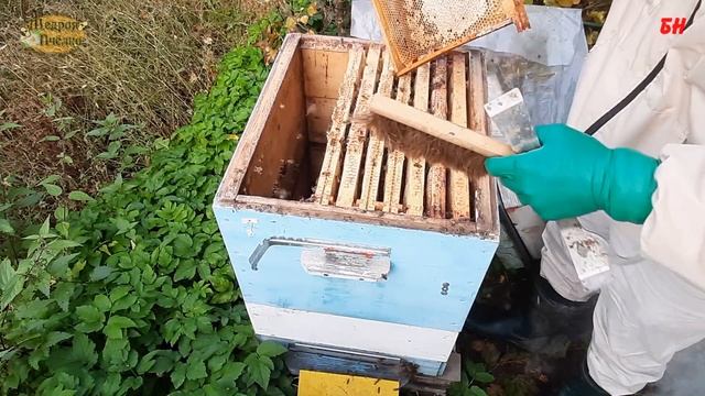 семья просела забираю корма настраиваю вентиляцию смотреть онлайн