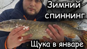Ловля щуки зимой на спиннинг | Щука в январе