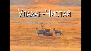 Встреча на Улахан-Чистай