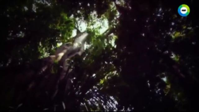 НАЙДЕН ИСЧЕЗНУВШИЙ КОНТИНЕНТ, ГДЕ ЗАРОДИЛОСЬ ЧЕЛОВЕЧЕСТВО! смотреть онлайн