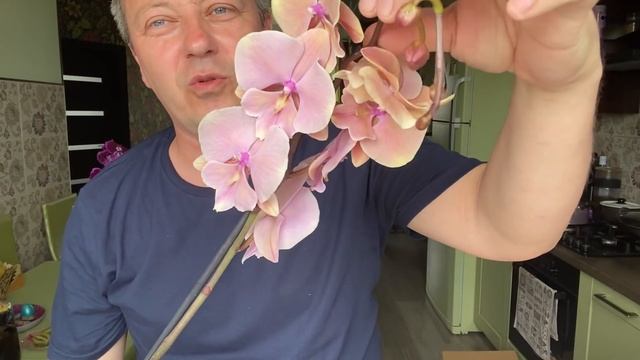 Я В ШОКЕ ВТОРОЙ ДЕНЬ / ОГРОМНАЯ ПОСЫЛКА гигантские ОРХИДЕИ распаковка и обзор цветущих орхидей