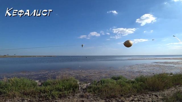 Снасти для рыбалки на кефаль: донная снасть и на два поплавка. смотреть онлайн