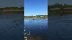 Самодельный каяк из пенопласта стеклоткани и эпоксидного клея с троллинговым электромотором.