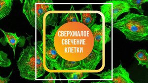 Сверхмалое свечение клетки