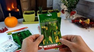 Обзор Семян Огурцов ?Лидеры Среди Урожайных Гибридов? #семена #огурцы #огород