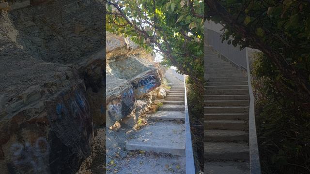 20221119_Мистер Твистер_У самого синего моря.mp4