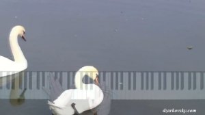 И.Тальков - Чистые пруды пианино кавер