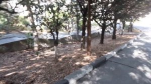 Крым.Алушта 2020. Заброшенный санаторий/Злая собака