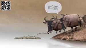 Коллективный разум или Как антилопы переходят реку