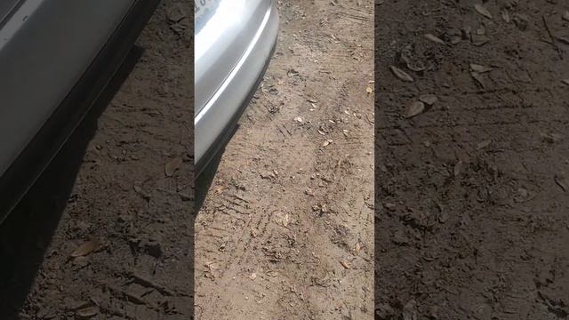 2014 Ford Fusion Se (Res & Muff Delete) Startup and idle смотреть онлайн