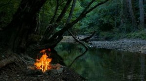 Через сколько дней после цветения созревает земляника?