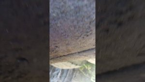 пневмоподвеска фотон ауман 1099 задняя ось