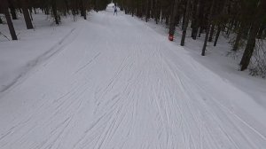 Марафон памяти Алексея Свирчевского