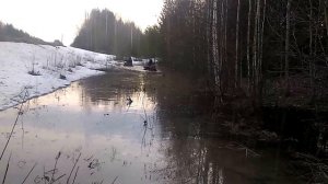 Мотоблоки Луч на весенних покатушках.
