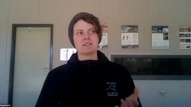 AWC in Conversation with Raquel Parker: Reintroductions beyond the fence (S4E3) смотреть онлайн