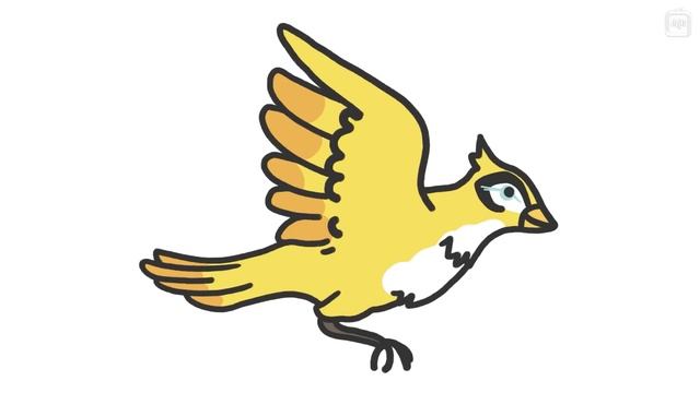 Каким был бы реальный дракон? [Минутка Земли]