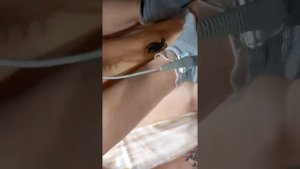 БЭМ массаж Fohow