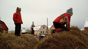 Как мыться в бане-бочке? Горячая и холодная вода в бане-бочке. Выгружаем сено