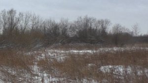 Охота на Зайца за Деревней!!! Лихо уходил по Облюбованным местам.