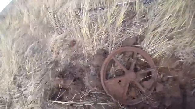 Металлокоп ОСЕНЬ 2023► ПОРВАЛ ИХ В КЛОЧЬЯ смотреть онлайн