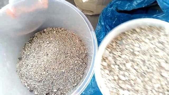 Адениум, готовим грунт для посадки! смотреть онлайн